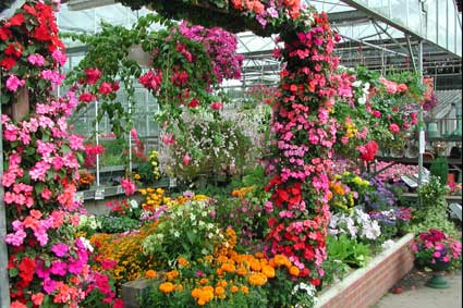Bedding displays
