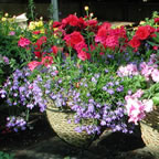 ready filled containers