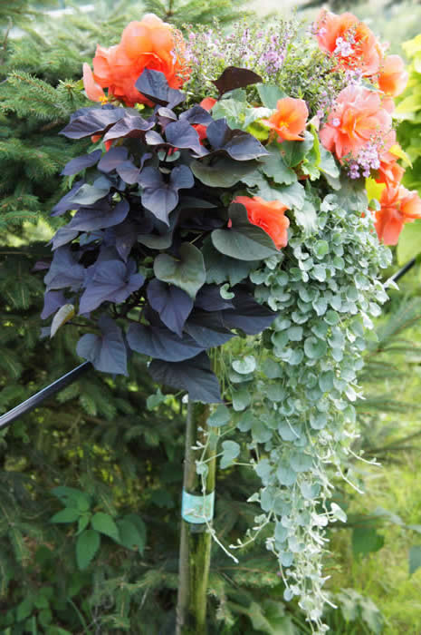 mixed display baskets