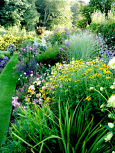 perennial border