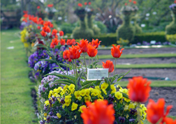 trials garden