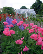 summer displays